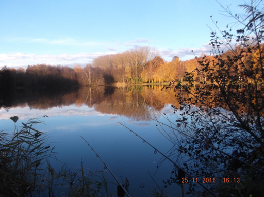 L'étang Dumoulin L'étang Dumoulin